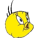 Gif Titi tête